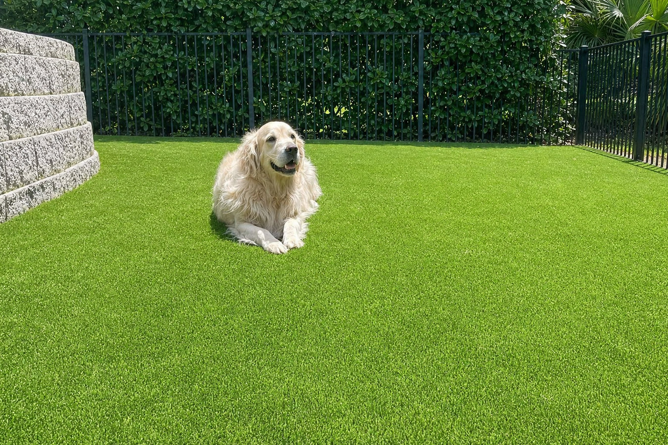 Weslaco Artificial Grass Installation - Professional artificial grass installation in Weslaco, TX
